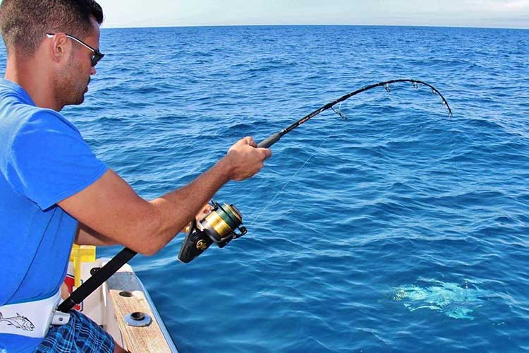 Les poissons